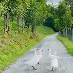 Luce Sul Bric Сasa de vacaciones Gambasca