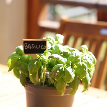 Luce Sul Bric Holiday home