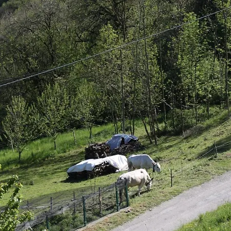 Luce Sul Bric * Gambasca