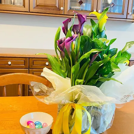 Luce Sul Bric 펜션