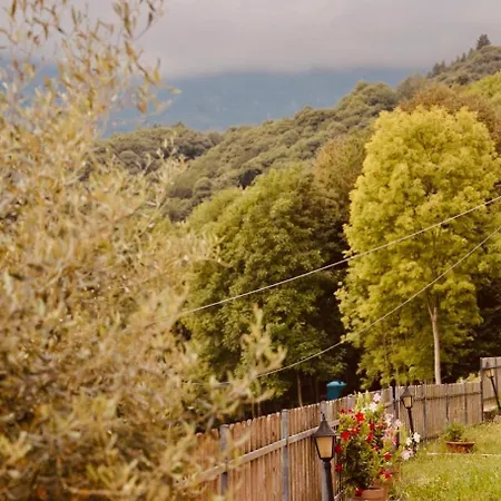 Hébergement de vacances Luce Sul Bric *