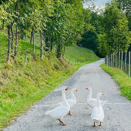 Luce Sul Bric 펜션 Gambasca